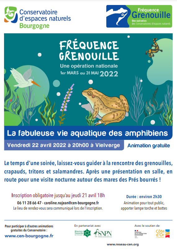 frequence grenouilles vielverge